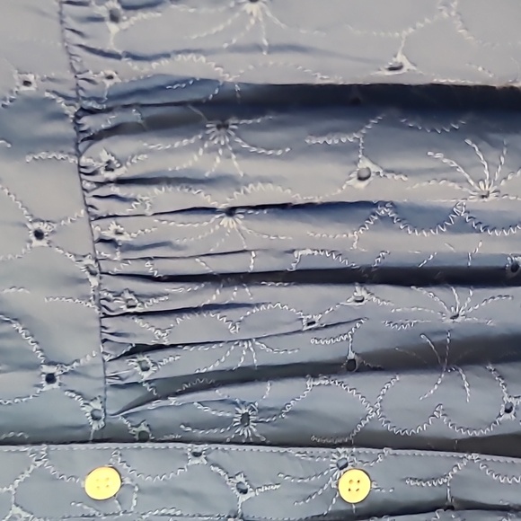 A sky blue eyelet dress with a button down front. Long sleeve with button cuffs. - Picture 3 of 4